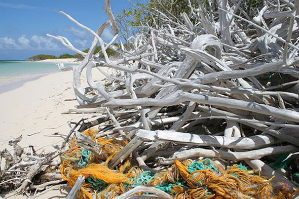 Fishing debris on beach